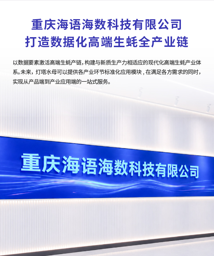 灯塔水母数智化升级