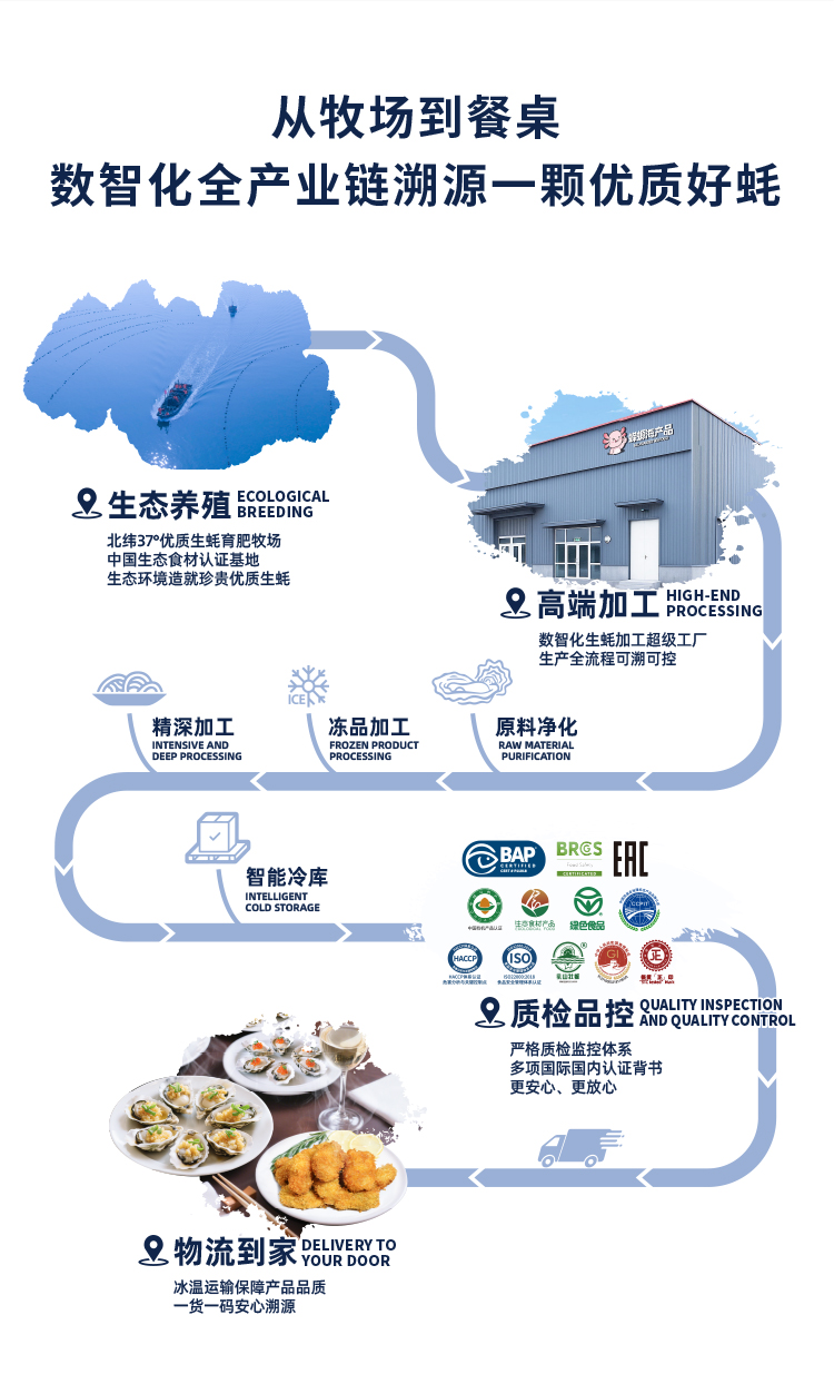 灯塔水母精深加工