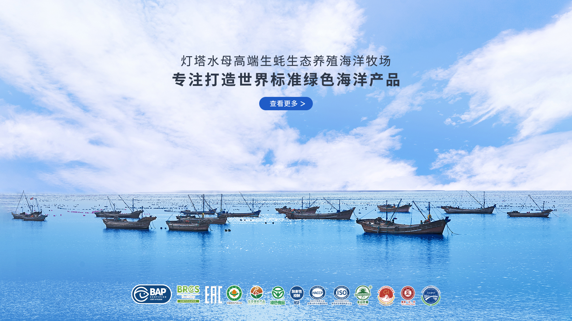 灯塔水母多元化高端生蚝产品