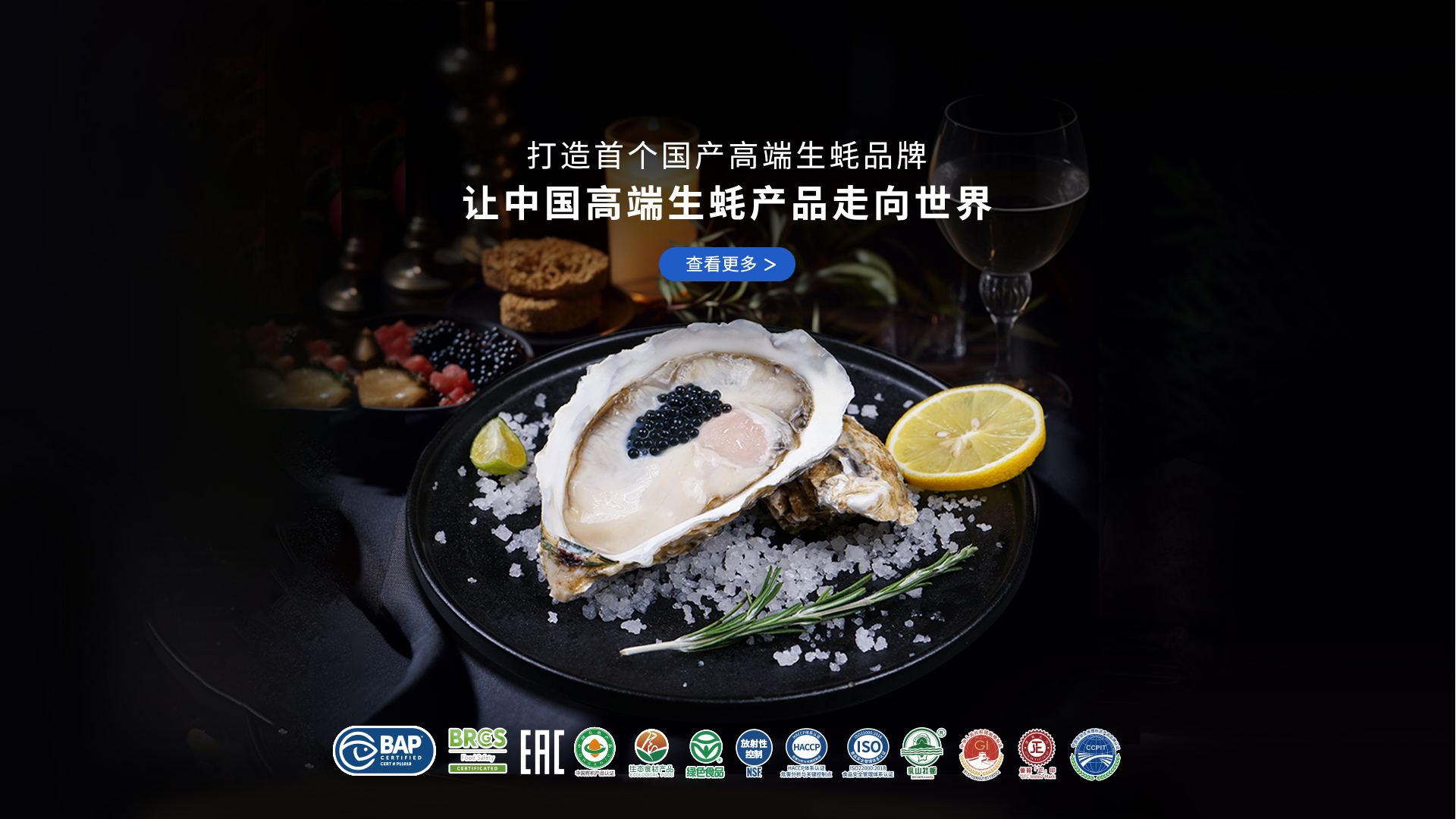 灯塔水母高端生蚝招商合作