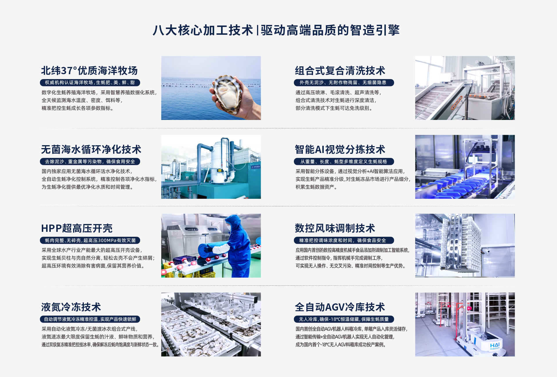 灯塔水母精深加工