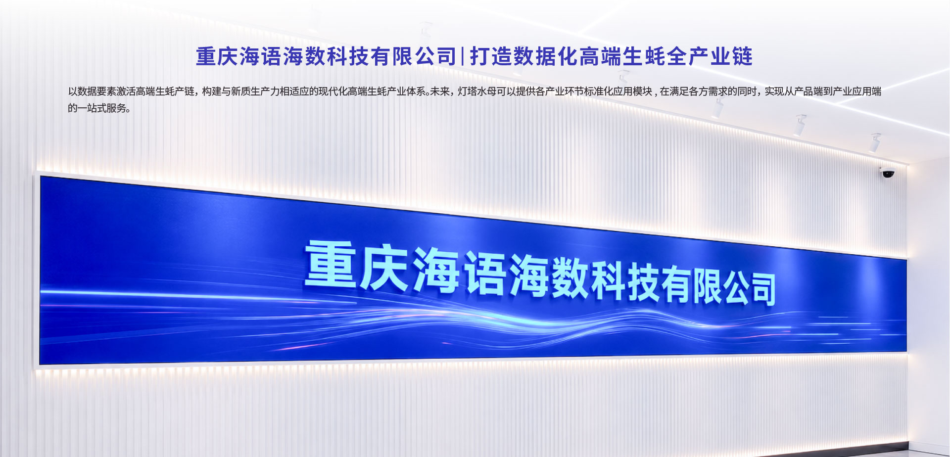 灯塔水母数智化升级