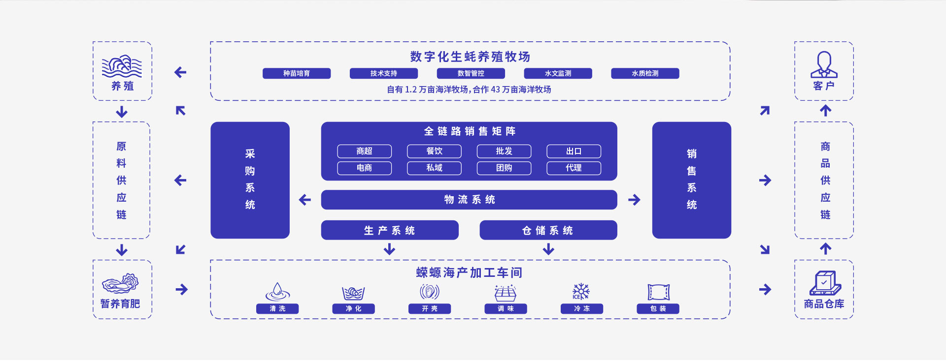 灯塔水母数智化升级