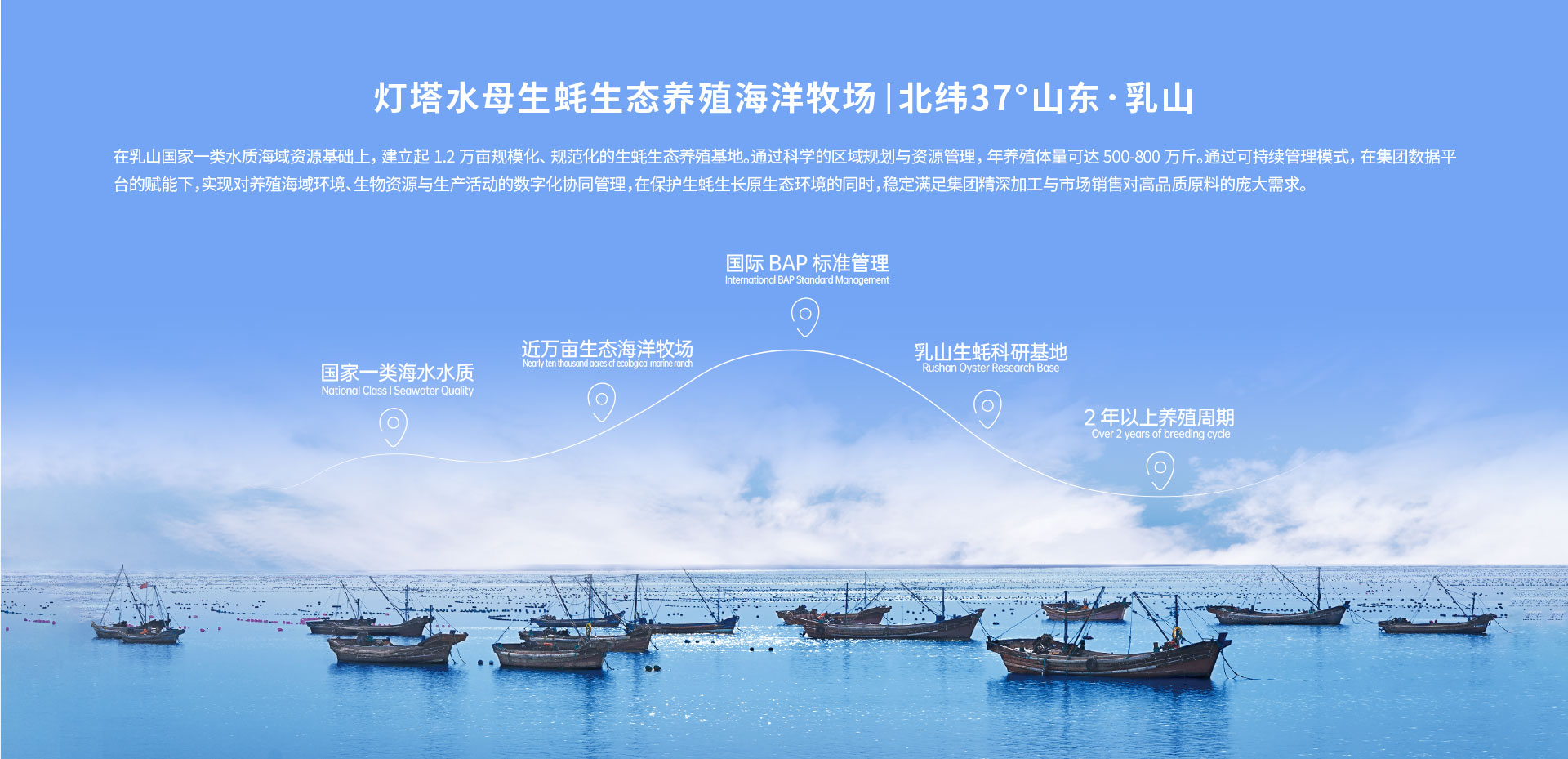 灯塔水母生态养殖