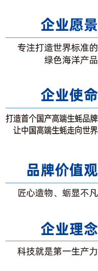 灯塔水母企业简介与企业理念