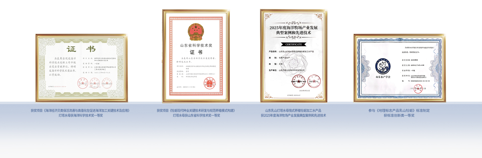 灯塔水母四项生产技术荣誉