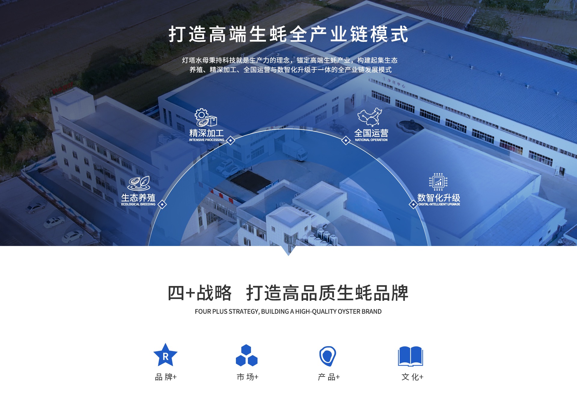 灯塔水母高端生蚝全产业链模式与四加战略