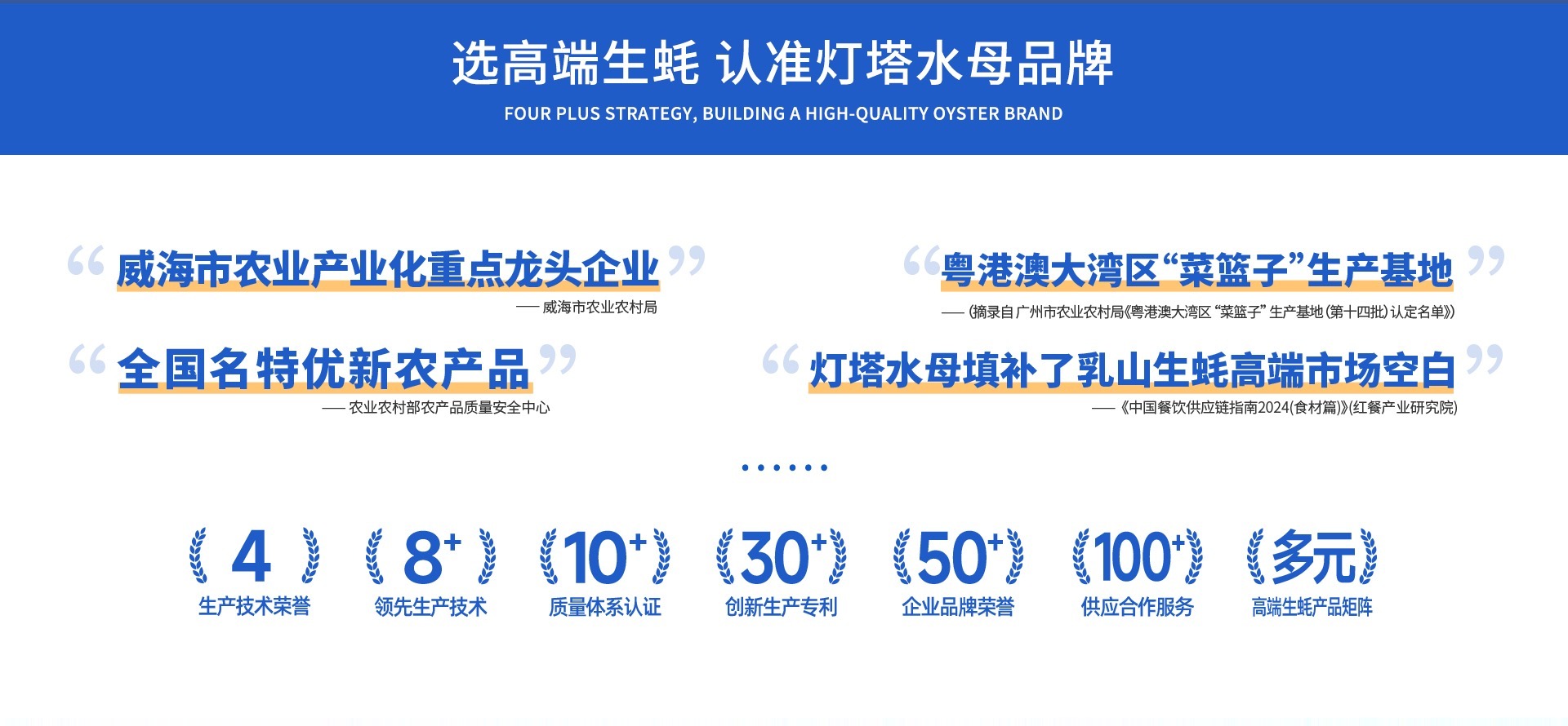灯塔水母品牌实力与行业认可